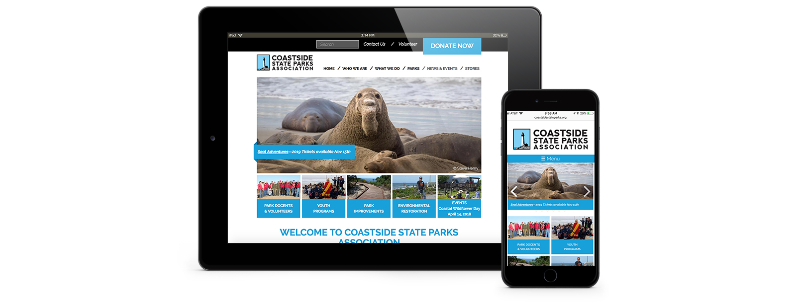 Responsive Web Site Design for CSPA